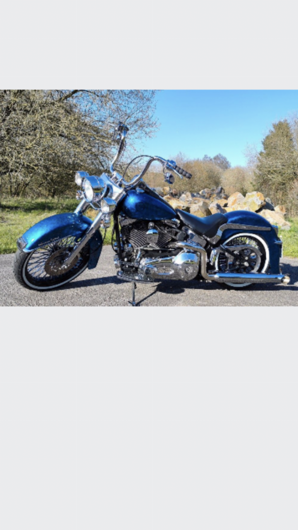 Motorrad verkaufen Harley-Davidson Heritage Chicano  Ankauf